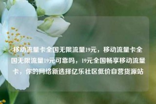 移动流量卡全国无限流量19元，移动流量卡全国无限流量19元可靠吗，19元全国畅享移动流量卡，你的网络新选择亿乐社区低价自营货源站