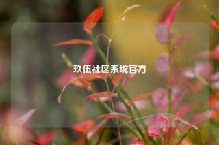 玖伍社区系统官方
