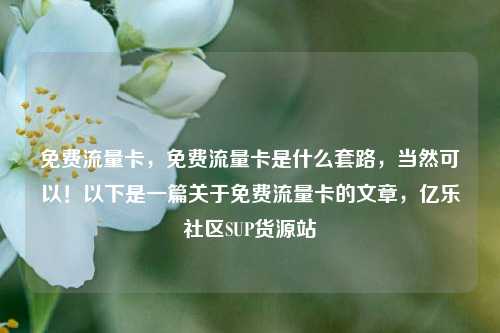 免费流量卡	，免费流量卡是什么套路，当然可以！以下是一篇关于免费流量卡的文章，亿乐社区SUP货源站  第1张