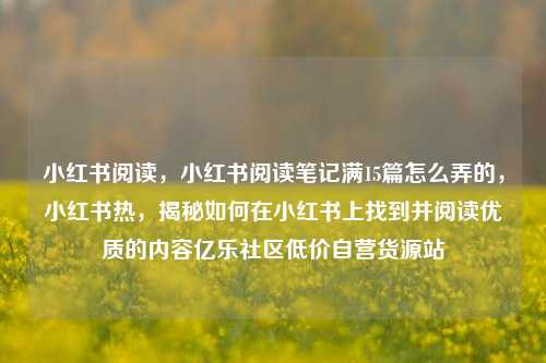 小红书阅读，小红书阅读笔记满15篇怎么弄的，小红书热，揭秘如何在小红书上找到并阅读优质的内容亿乐社区低价自营货源站  第1张