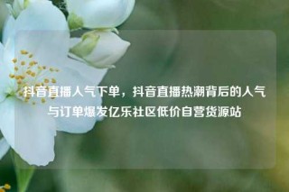 抖音直播人气下单，抖音直播热潮背后的人气与订单爆发亿乐社区低价自营货源站