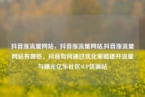 抖音涨流量网站，抖音涨流量网站,抖音涨流量网站有哪些，抖音如何通过优化策略提升流量与曝光亿乐社区SUP货源站