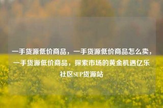 一手货源低价商品，一手货源低价商品怎么卖，一手货源低价商品，探索市场的黄金机遇亿乐社区SUP货源站