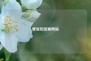 便宜的货源网站