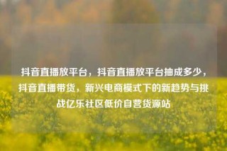 抖音直播放平台，抖音直播放平台抽成多少，抖音直播带货，新兴电商模式下的新趋势与挑战亿乐社区低价自营货源站