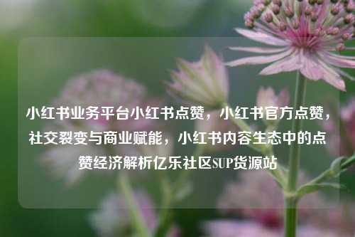 小红书业务平台小红书点赞，小红书官方点赞，社交裂变与商业赋能	，小红书内容生态中的点赞经济解析亿乐社区SUP货源站  第1张